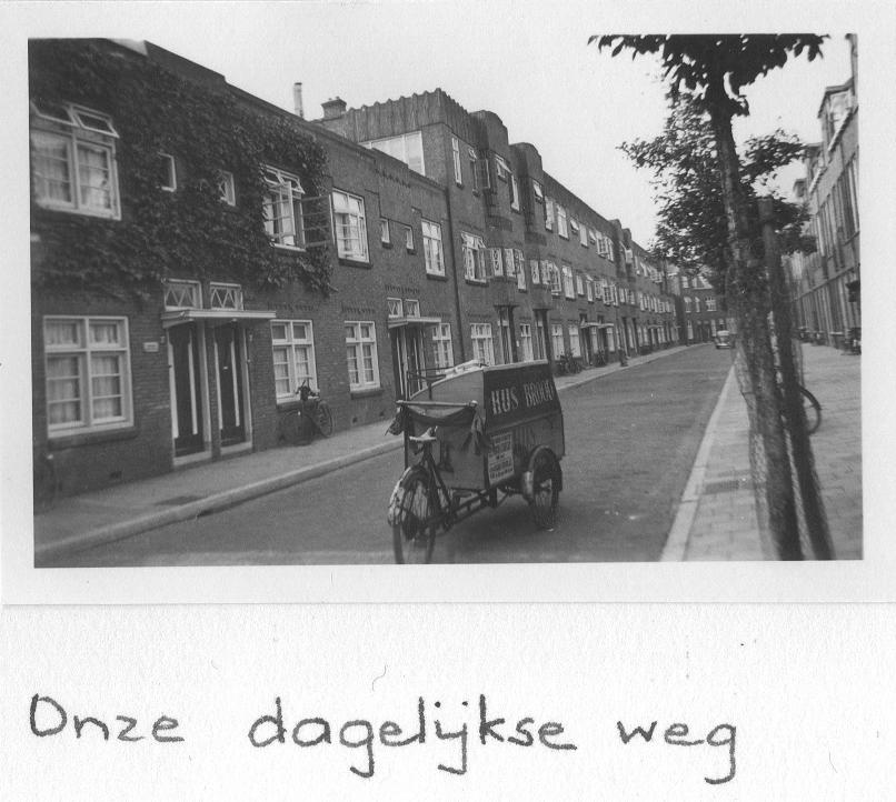 dagelijkse weg naar het ziekenhuistuin